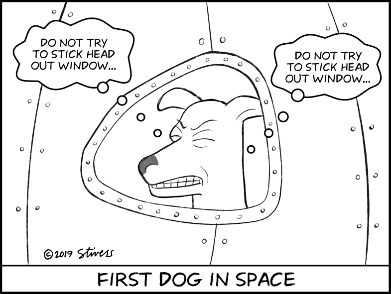First dog in space
